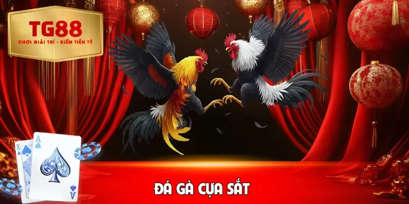da-ga-cua-sat